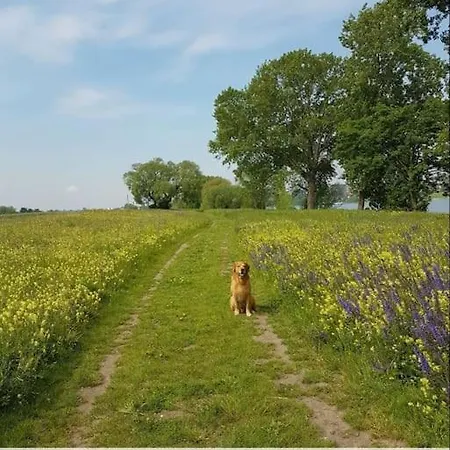 Appartement Souterrain-apartment Mit Privater Sauna *