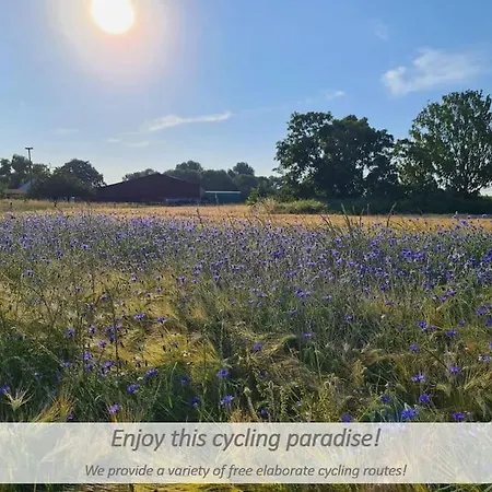 Apartment Souterrain-apartment Mit Privater Sauna