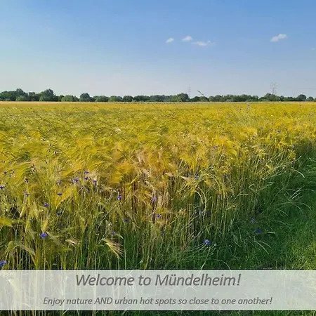 Souterrain-apartment Mit Privater Sauna Apartment