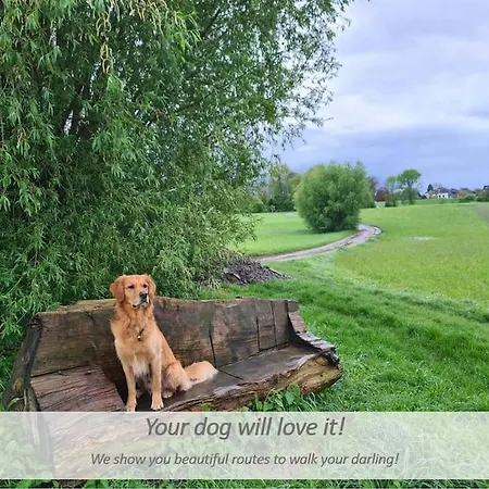 Souterrain-apartment Mit Privater Sauna Appartement