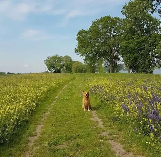 شقة Souterrain-apartment Mit Privater Sauna *