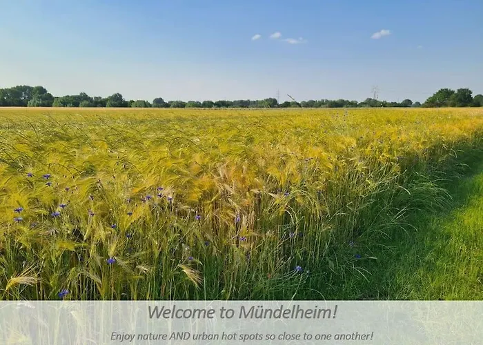 Souterrain-apartment Mit Privater Sauna شقة