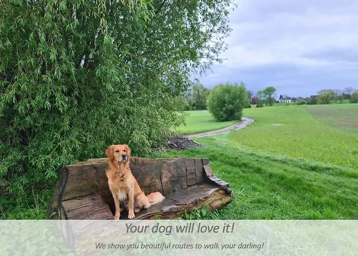 Souterrain-apartment Mit Privater Sauna شقة